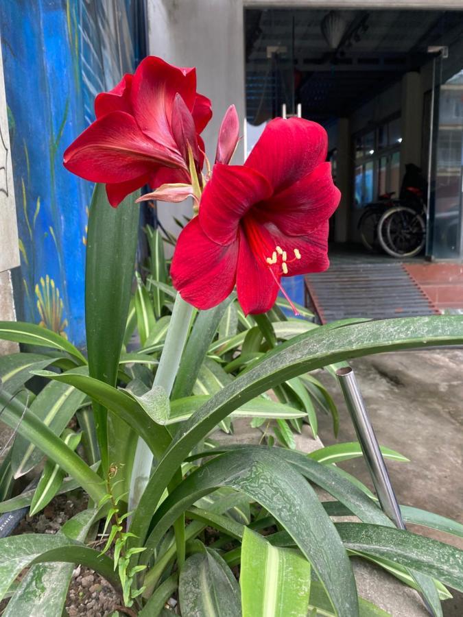 Thien Thanh Hotel Phong Nha Exterior foto