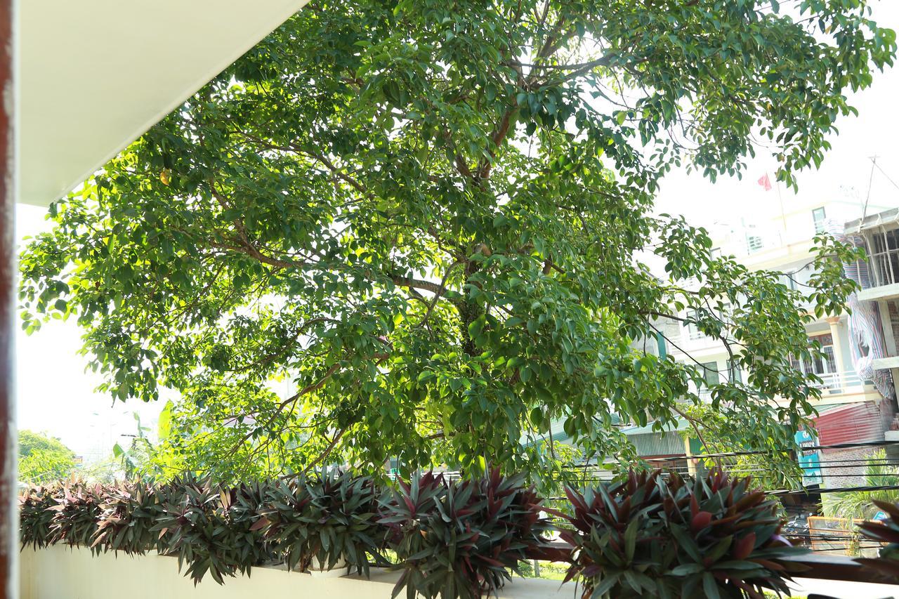 Thien Thanh Hotel Phong Nha Exterior foto